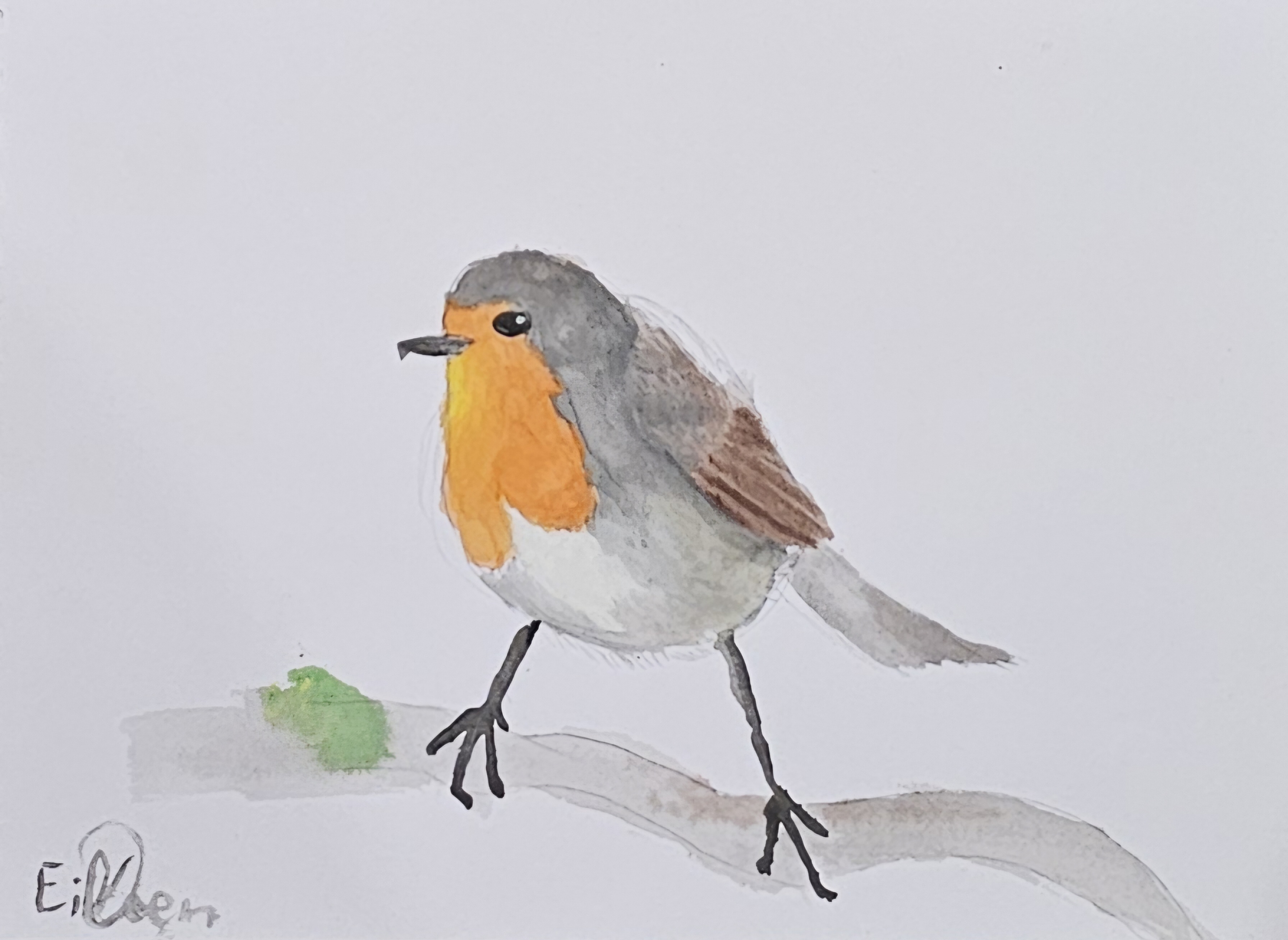 Robin